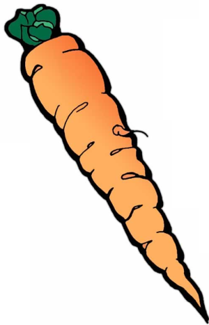 carrot 1